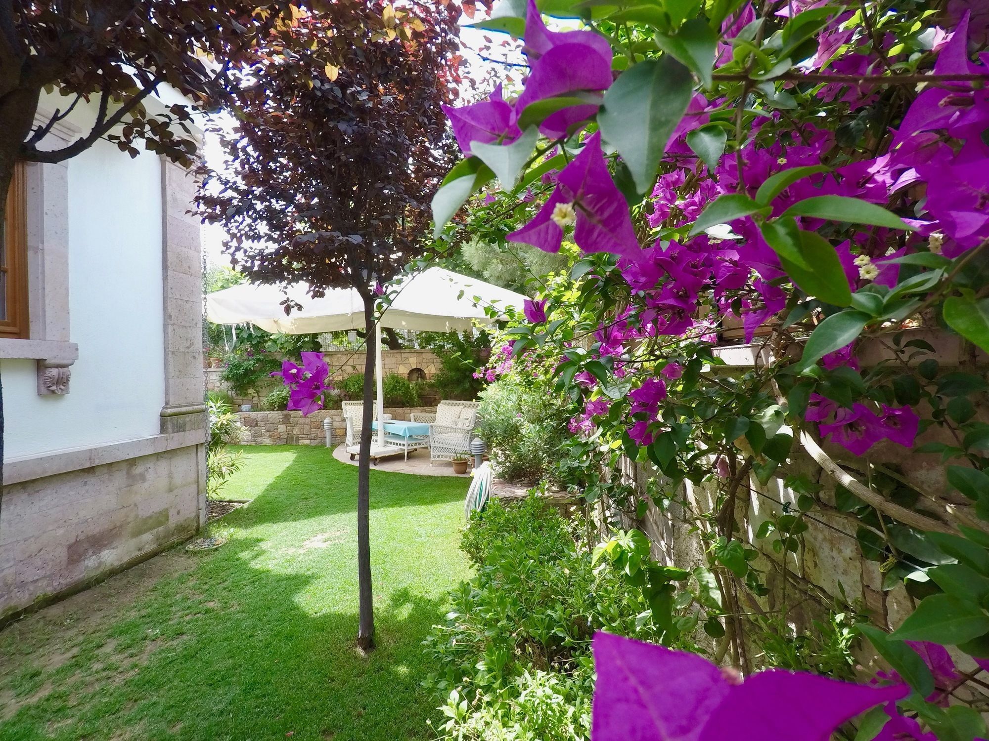 Tas Bahce Hotel Cunda Ayvalı Buitenkant foto